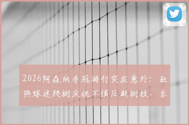 2026阿森纳夺冠游行突发意外：狂热球迷爬树庆祝不慎压断树枝，乐极生悲引安全警示
